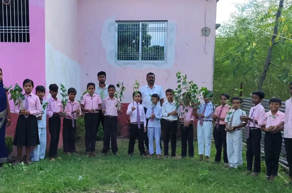 Tree Plantation Activity